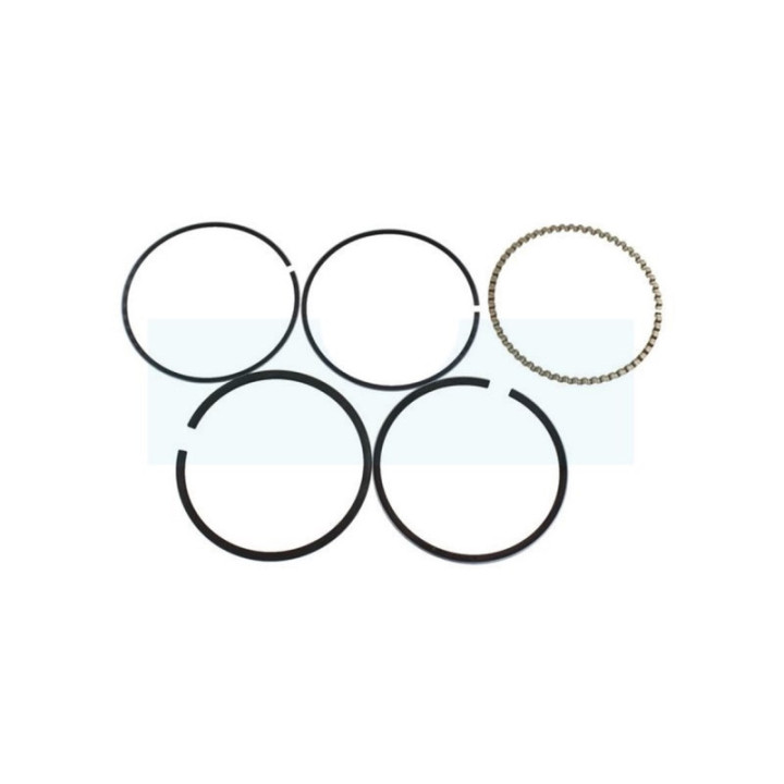 Kit segment pour moteur Kawasaki (130087001)