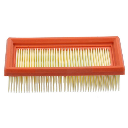 Filtre à air pour moteur Lombardini (2175097)