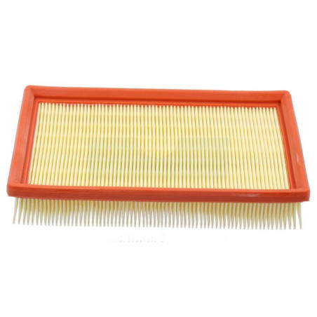 Filtre à air pour moteur Lombardini (2175164)