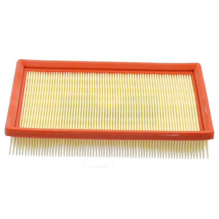 Filtre à air pour moteur Lombardini (2175164)
