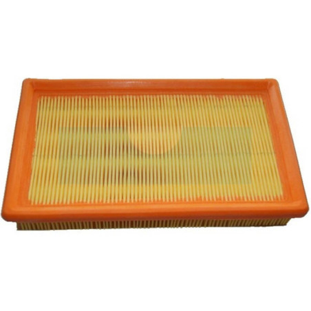 Filtre à air pour moteur Lombardini (2175119)