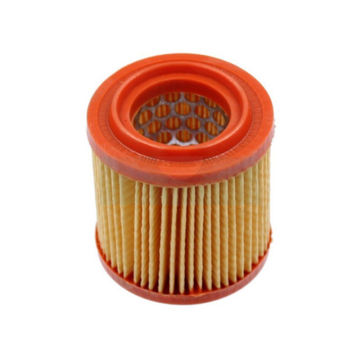 Filtre à air pour tondeuse débroussailleuse / tondeuse As Motor (E04221)