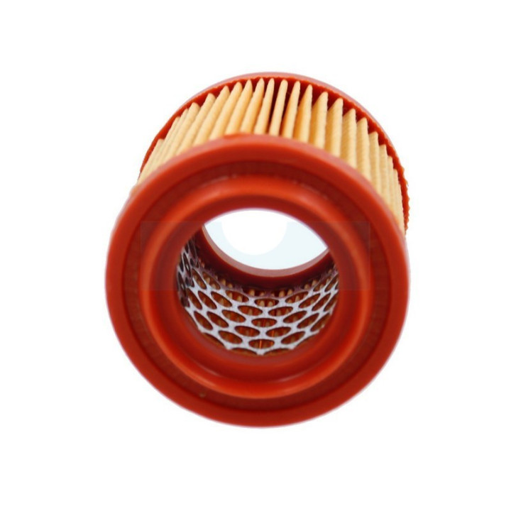 Filtre à air pour tondeuse débroussailleuse / tondeuse As Motor (E04221)
