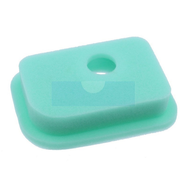 Filtre à air pour moteur Briggs & Stratton (270447)