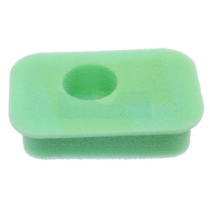 Filtre à air pour moteur Briggs & Stratton (270067)
