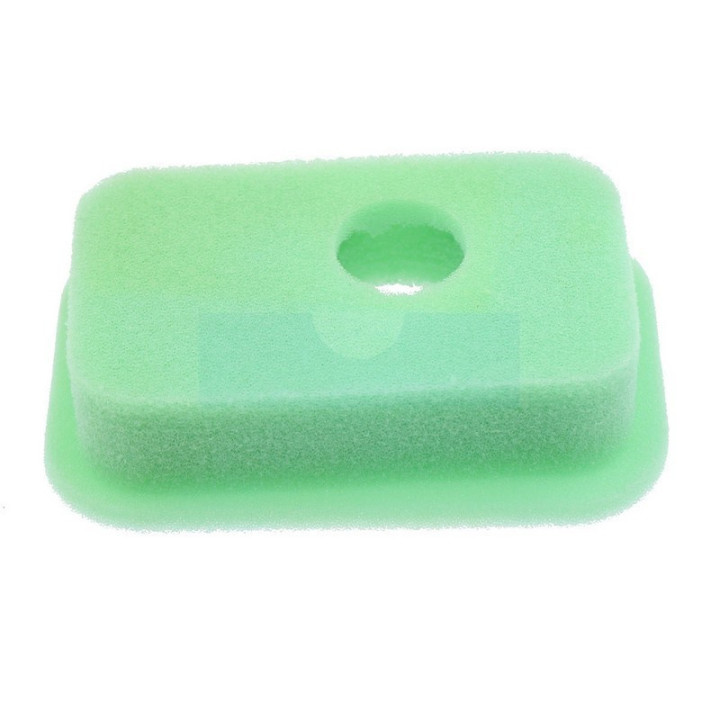 Filtre à air pour moteur Briggs & Stratton (270067)