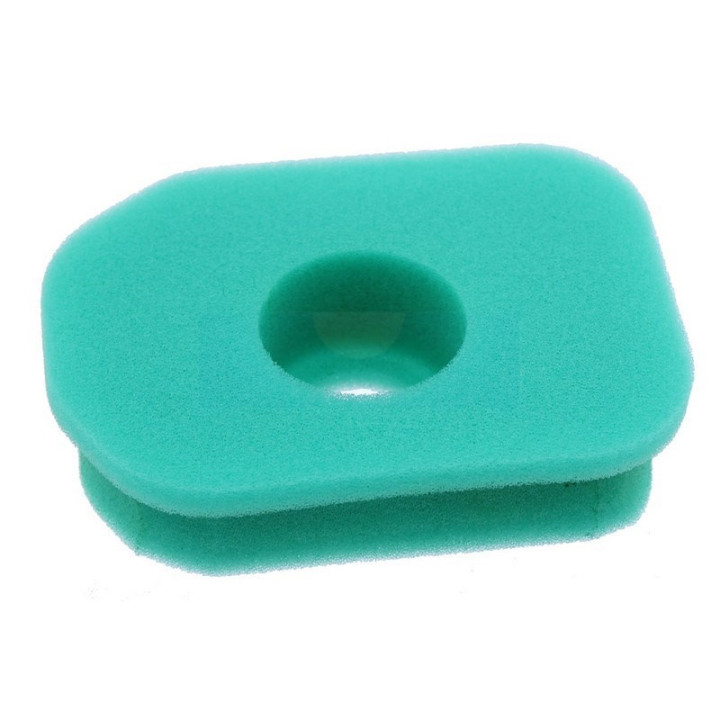 Filtre à air pour moteur Briggs & Stratton (270848)