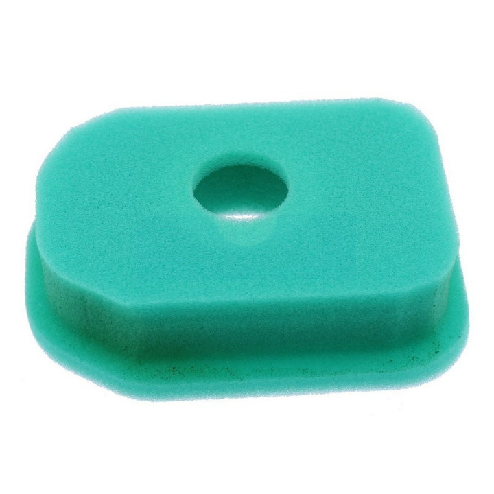 Filtre à air pour moteur Briggs & Stratton (270848)