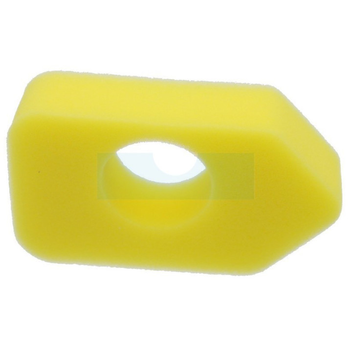 Filtre à air pour moteur Briggs & Stratton (698369)