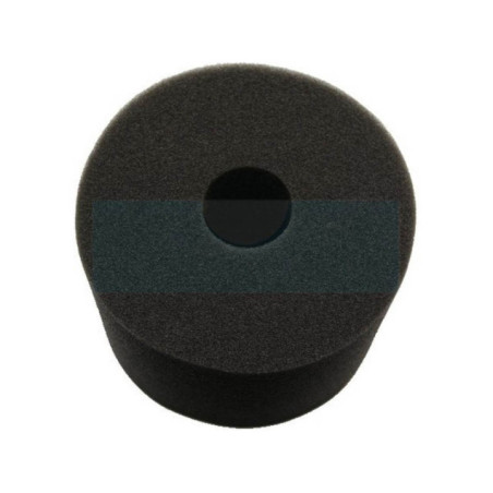 Filtre à air pour moteur Briggs & Stratton (270093)