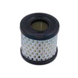 Filtre à air pour moteur Briggs & Stratton (392308)