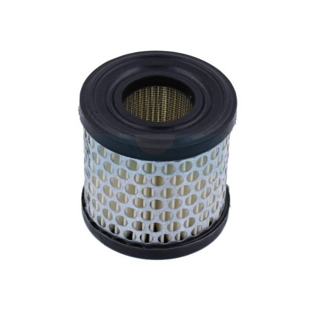 Filtre à air pour moteur Briggs & Stratton (392308)
