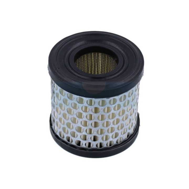 Filtre à air pour moteur Briggs & Stratton (392308)