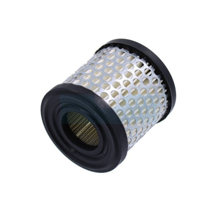 Filtre à air pour moteur Briggs & Stratton (392308)