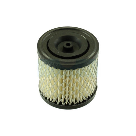 Filtre à air pour moteur Briggs & Stratton (396424)