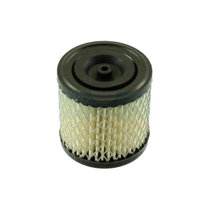 Filtre à air pour moteur Briggs & Stratton (396424)