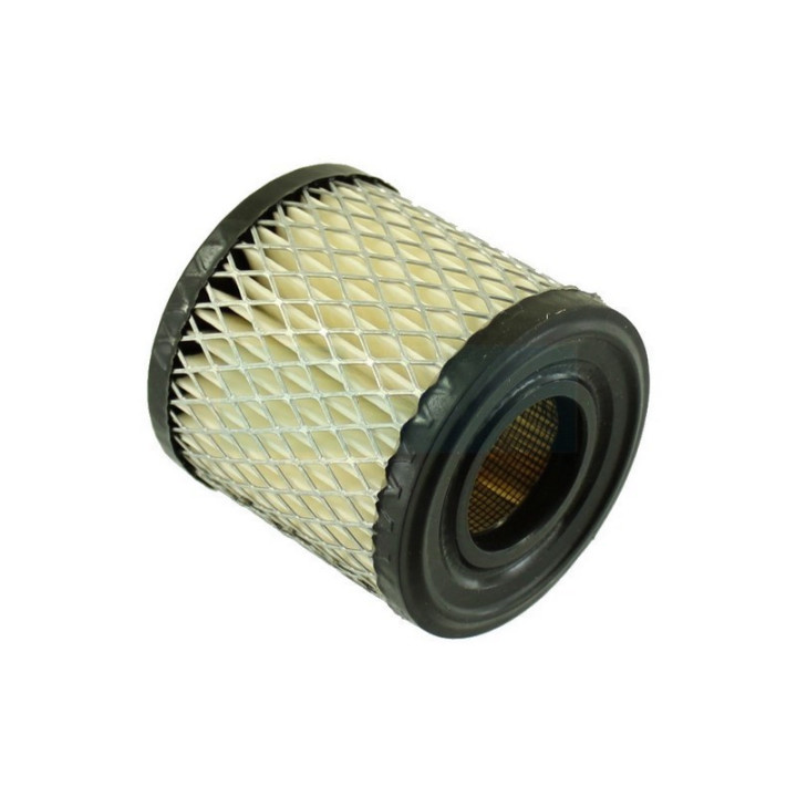Filtre à air pour moteur Briggs & Stratton (396424)
