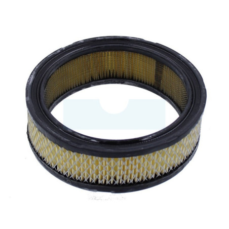 Filtre à air pour moteur Briggs & Stratton (394018)