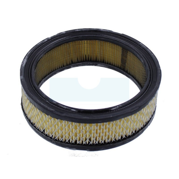Filtre à air pour moteur Briggs & Stratton (394018)