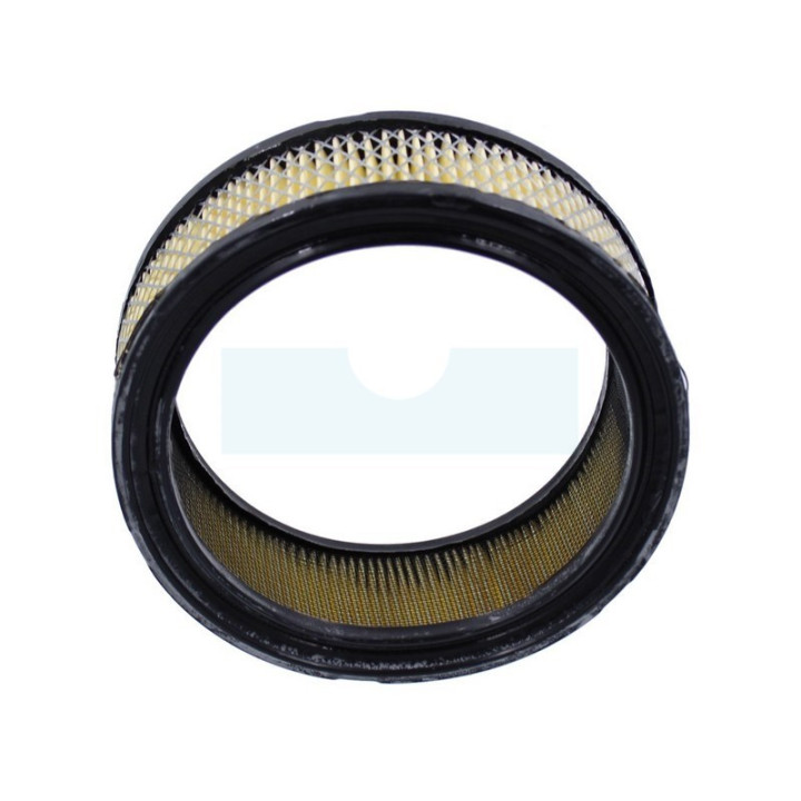 Filtre à air pour moteur Briggs & Stratton (394018)