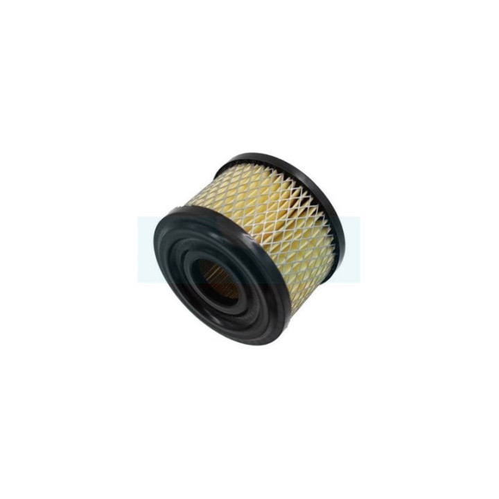Filtre à air pour moteur Briggs & Stratton (390492)