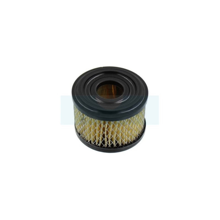 Filtre à air pour moteur Briggs & Stratton (390492)