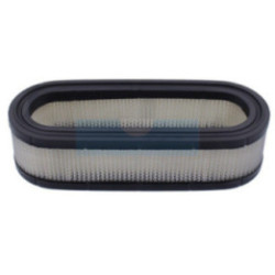 Filtre à air pour moteur Briggs & Stratton (394019)