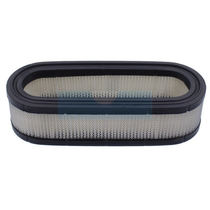 Filtre à air pour moteur Briggs & Stratton (394019)