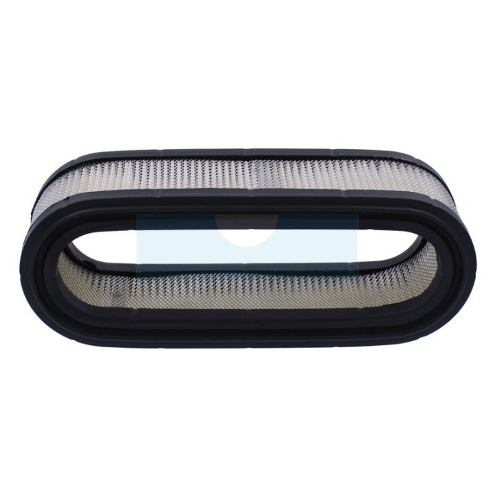 Filtre à air pour moteur Briggs & Stratton (394019)