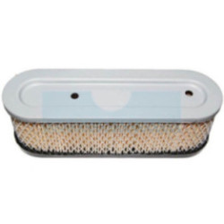 Filtre à air pour moteur Briggs & Stratton (399806)