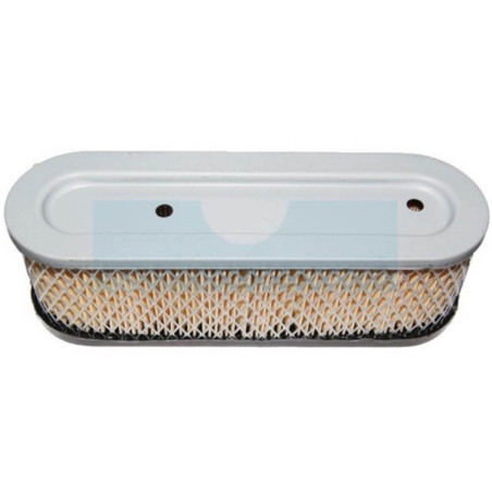 Filtre à air pour moteur Briggs & Stratton (399806)