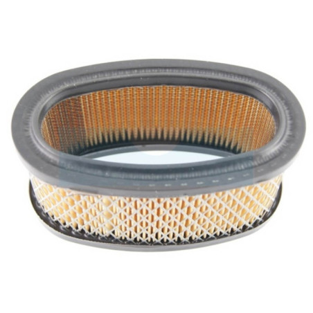 Filtre à air pour moteur Briggs & Stratton (393725)