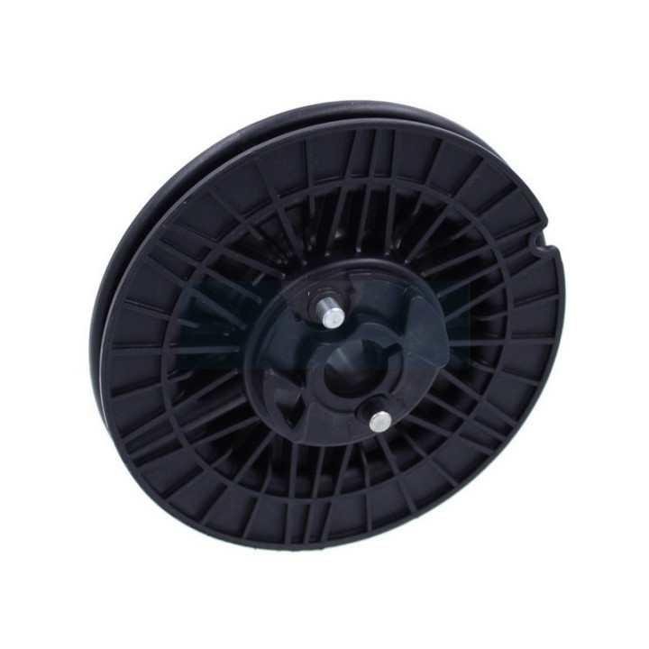 Poulie de lanceur pour moteur Lombardini (7100377)