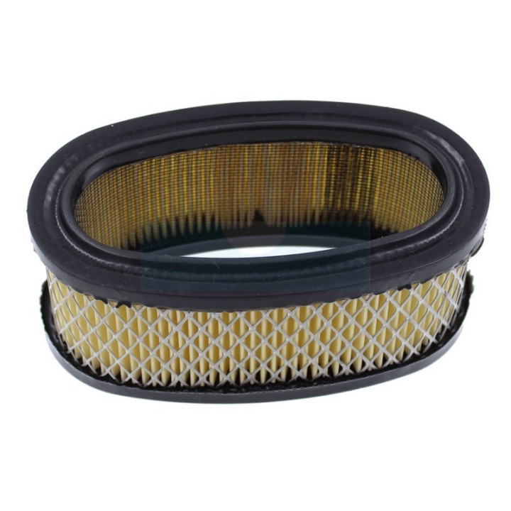 Filtre à air pour moteur Briggs & Stratton (393406)