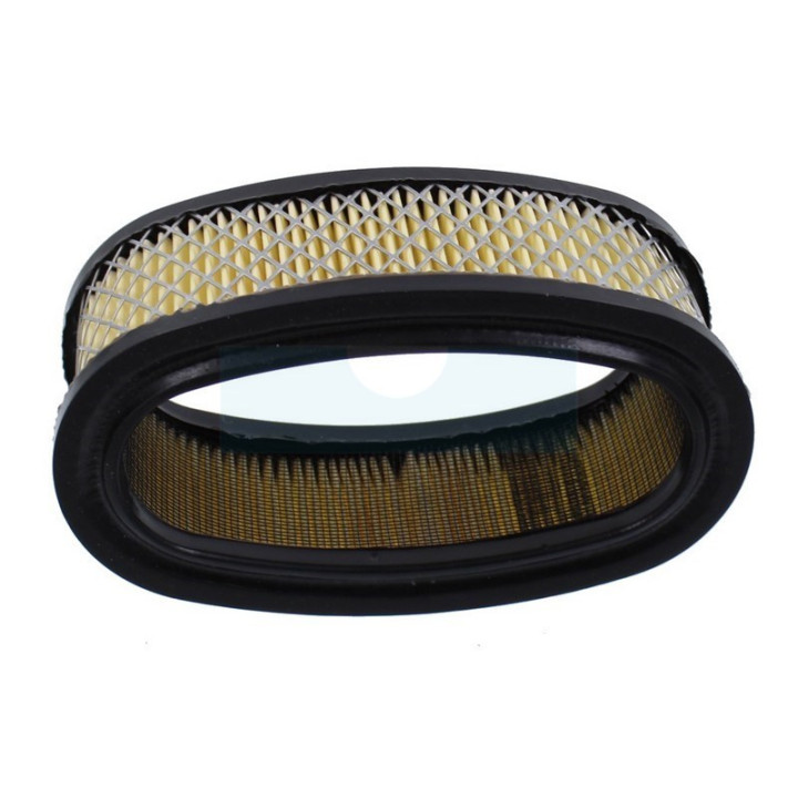 Filtre à air pour moteur Briggs & Stratton (393406)
