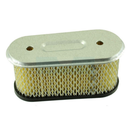 Filtre à air pour moteur Briggs & Stratton (491021)