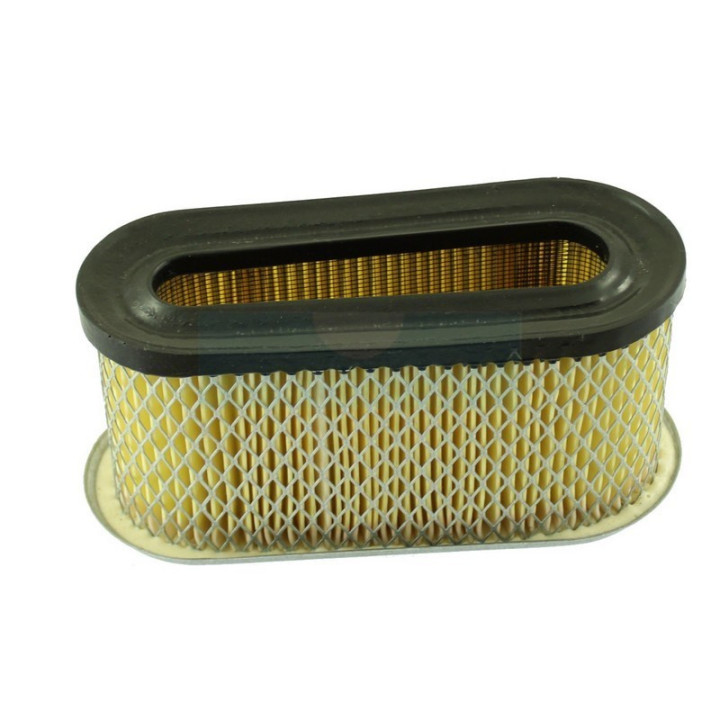 Filtre à air pour moteur Briggs & Stratton (491021)