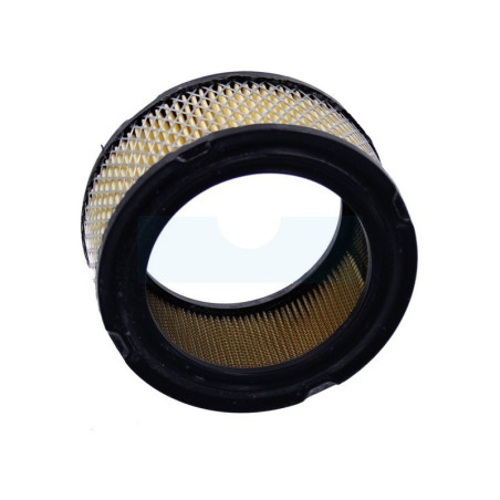 Filtre à air pour moteur Briggs & Stratton (392286)