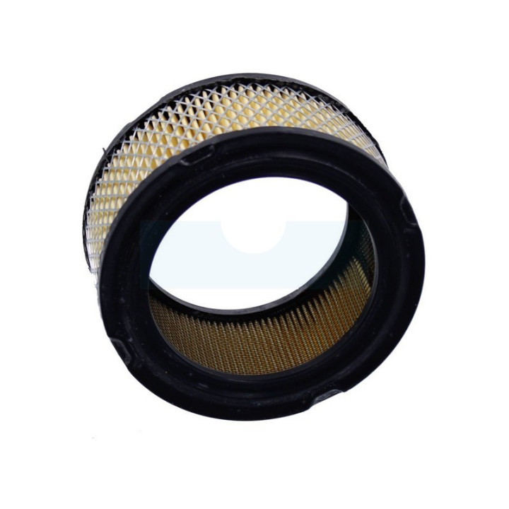 Filtre à air pour moteur Briggs & Stratton (392286)