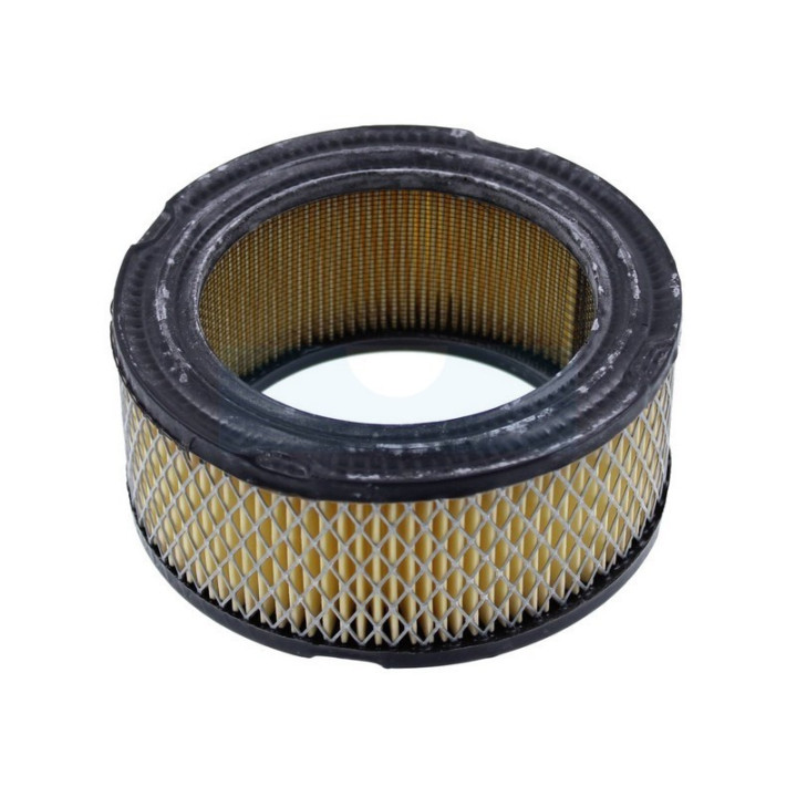 Filtre à air pour moteur Briggs & Stratton (392286)