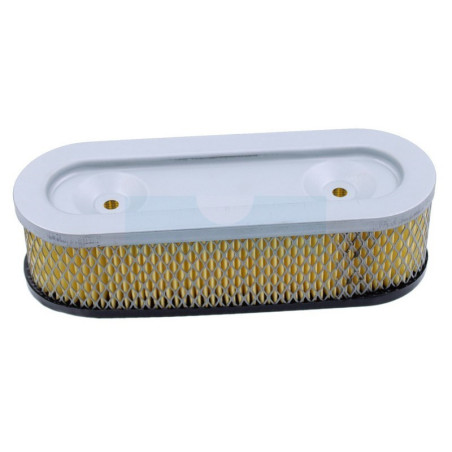 Filtre à air pour moteur Briggs & Stratton (399968)