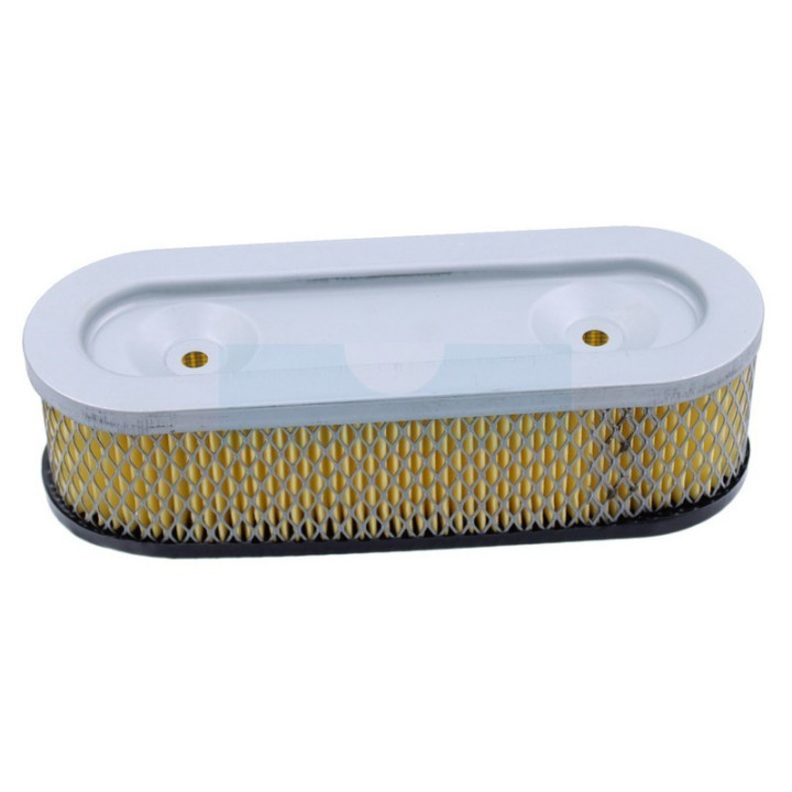 Filtre à air pour moteur Briggs & Stratton (399968)