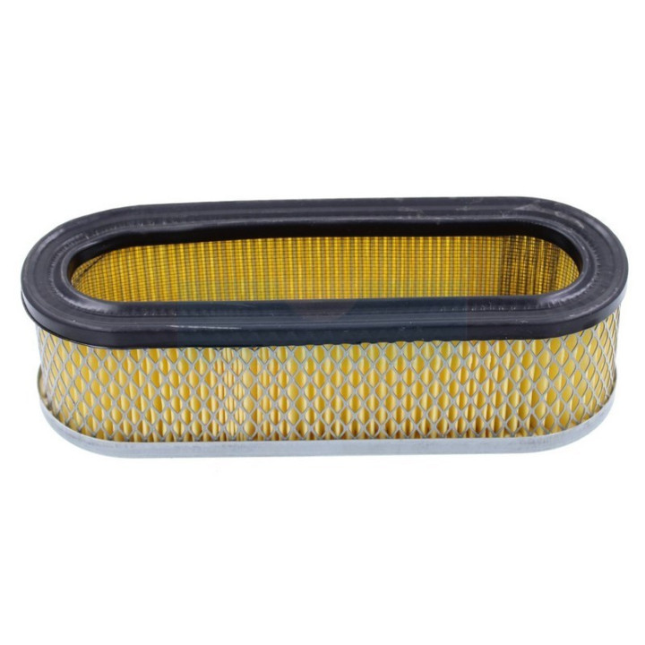 Filtre à air pour moteur Briggs & Stratton (399968)