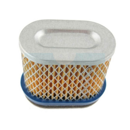 Filtre à air pour moteur Briggs & Stratton (692446)