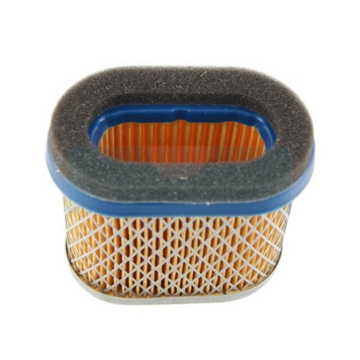 Filtre à air pour moteur Briggs & Stratton (692446)