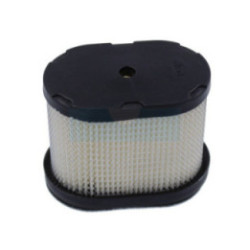 Filtre à air pour moteur Briggs & Stratton (690610)