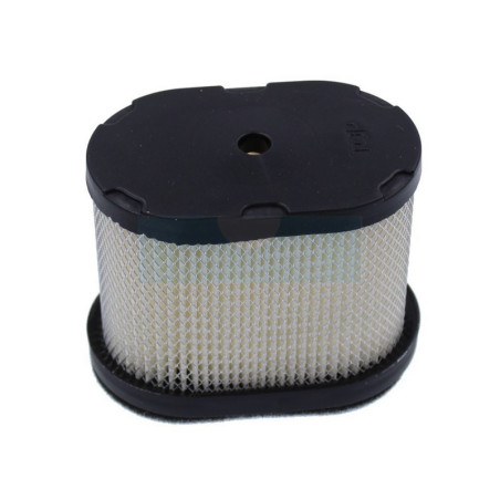 Filtre à air pour moteur Briggs & Stratton (690610)