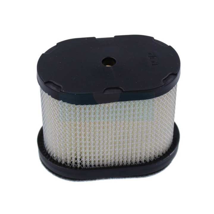 Filtre à air pour moteur Briggs & Stratton (690610)
