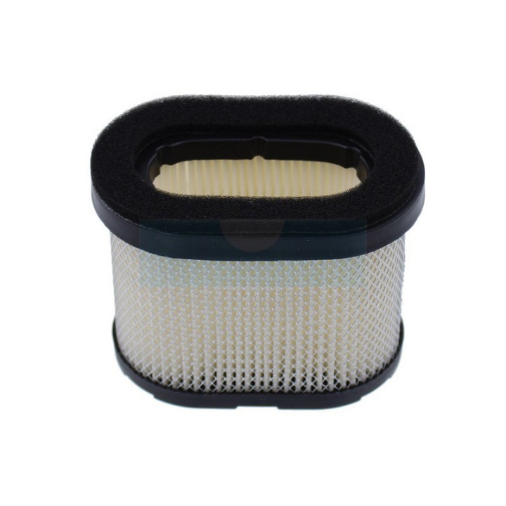 Filtre à air pour moteur Briggs & Stratton (690610)