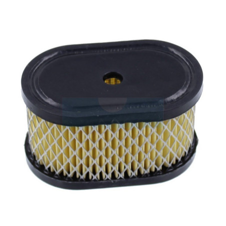 Filtre à air pour moteur Briggs & Stratton (494586)